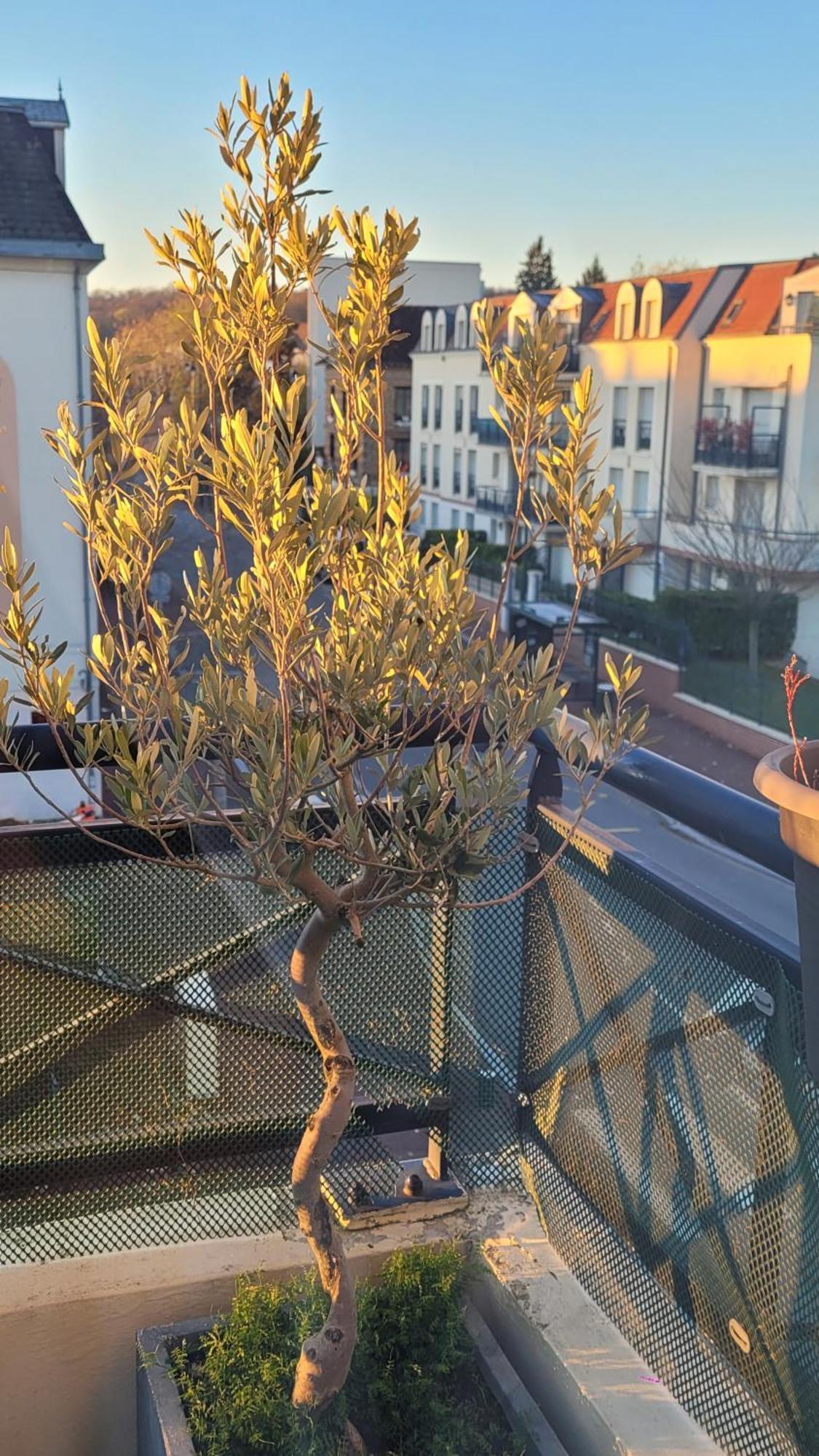 Duplex Art Place, Olympics 2024 Les Clayes-Sous-Bois エクステリア 写真